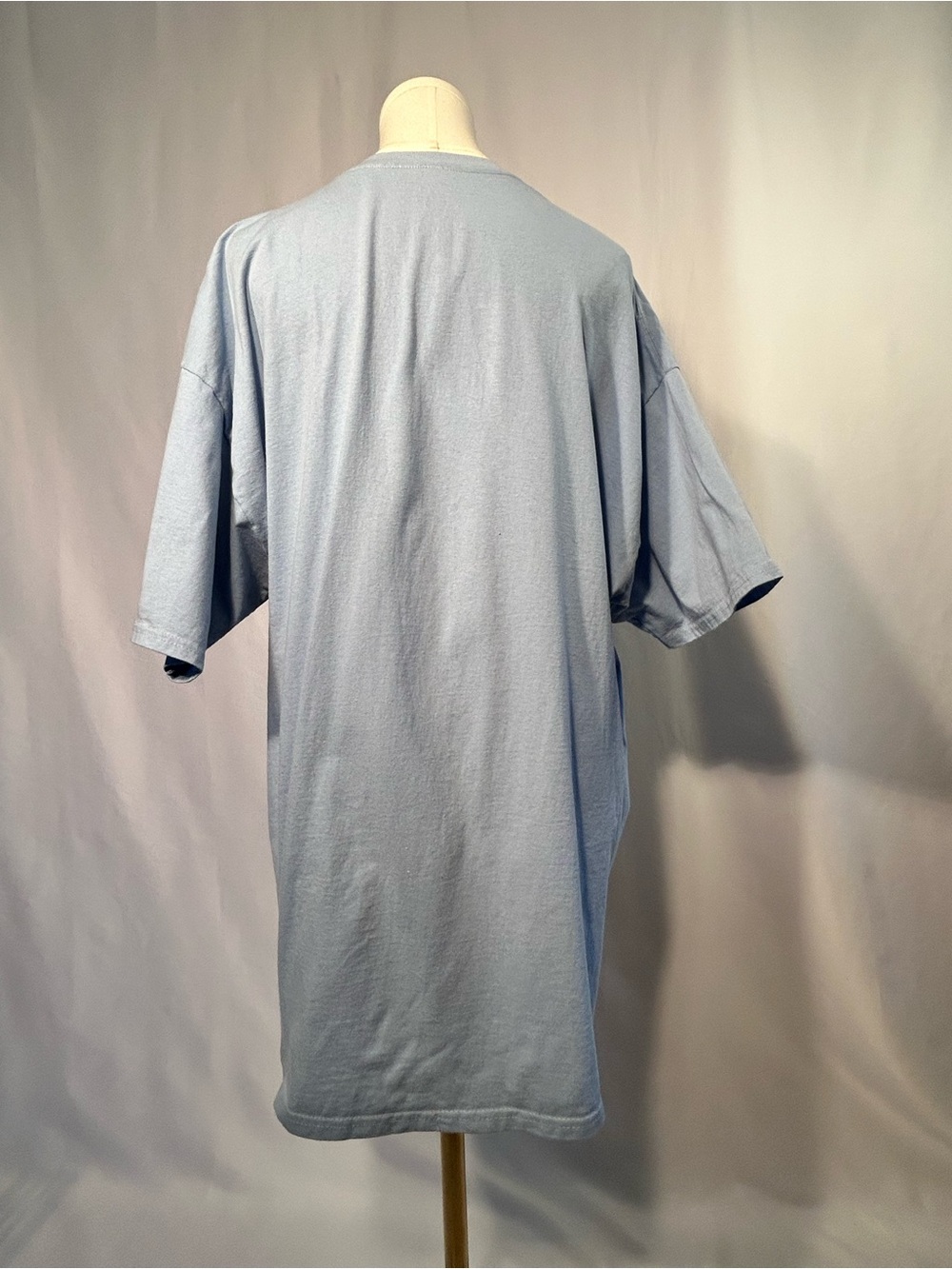 Hanes Illinois The S Is Silent Tupid Graphic Tee Light Blue Unisex 2XL Humor - Picture 2 of 5